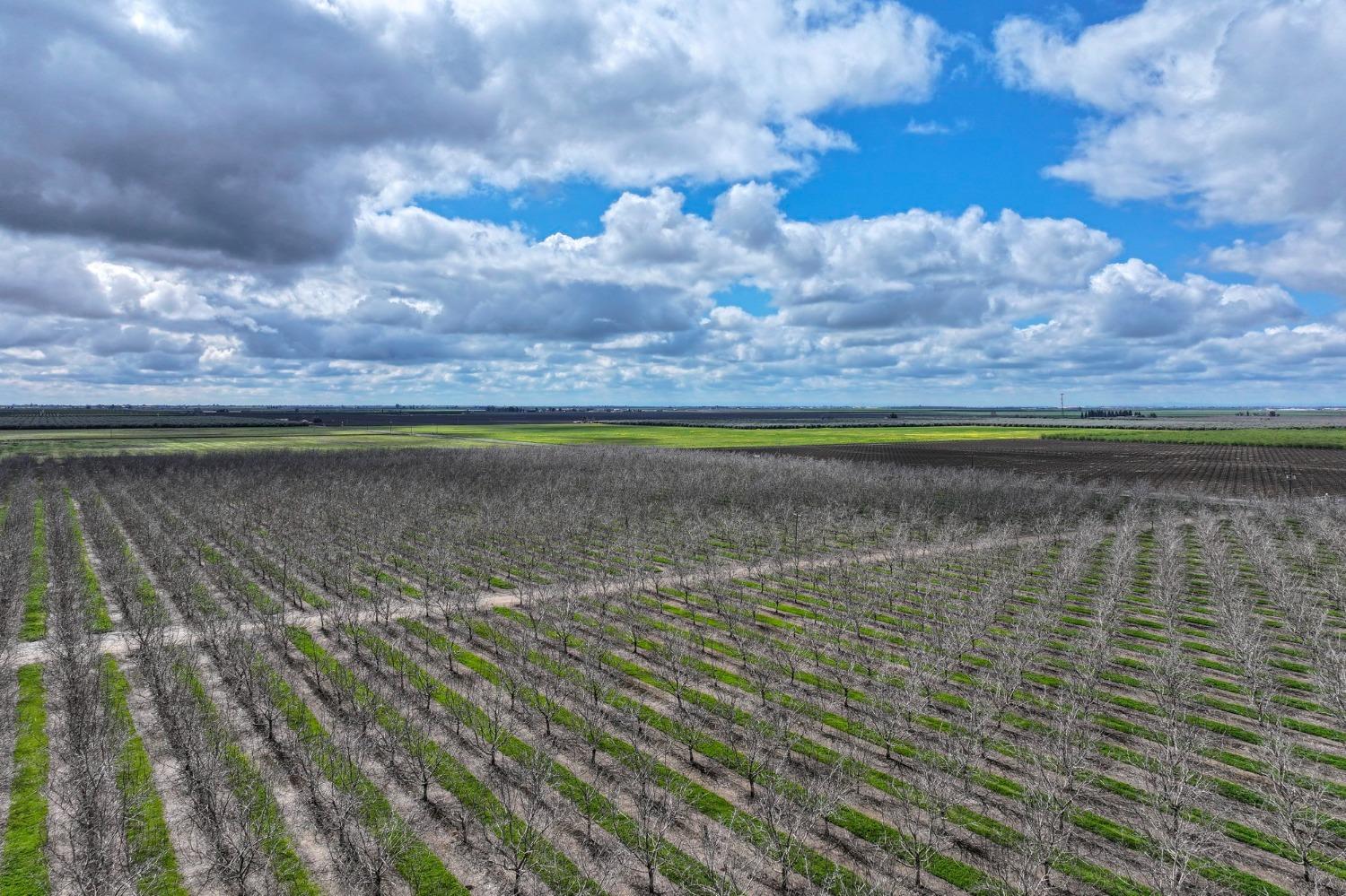 18995 Avenue 232, Lindsay, CA 93247