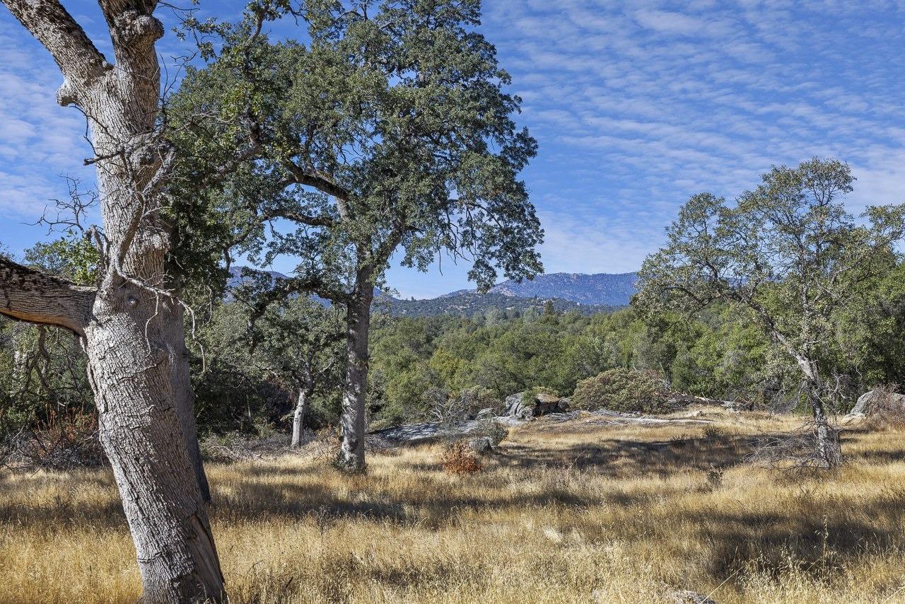 0 39.29 AC Village Dr, Oakhurst, CA 93644