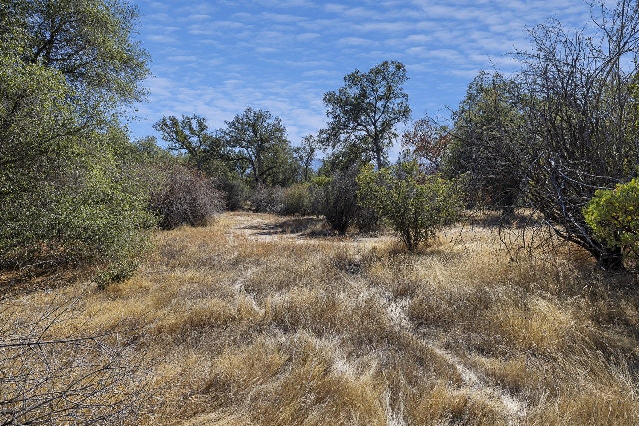 0 39.29 AC Village Dr, Oakhurst, CA 93644