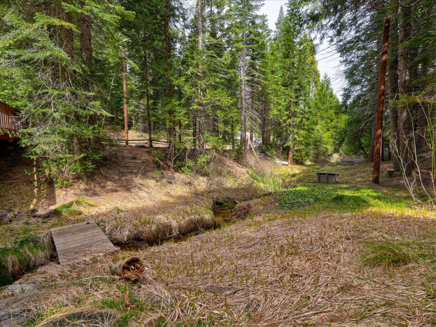 7739 Black Pine, Fish Camp, CA 93623