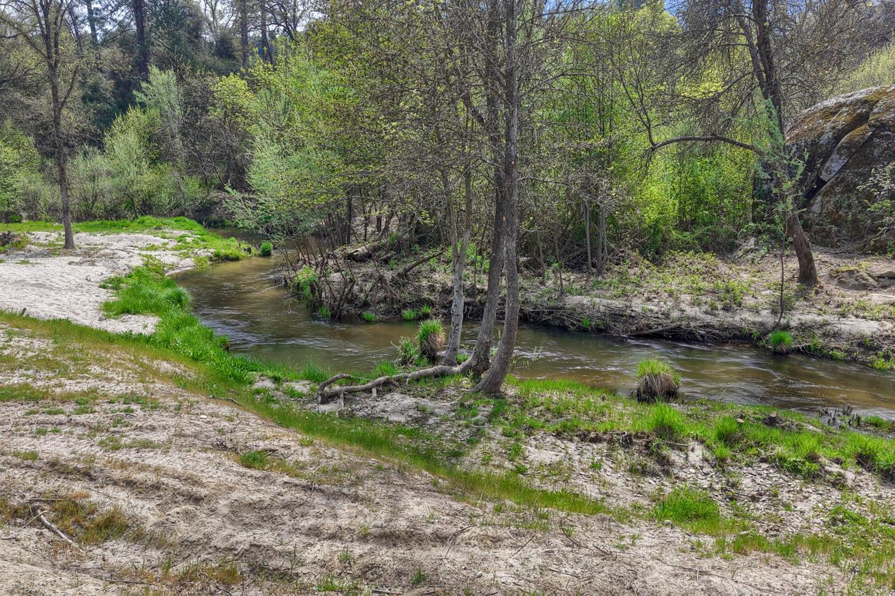 46580 Vista Del Rio Dr, Oakhurst, CA 93644