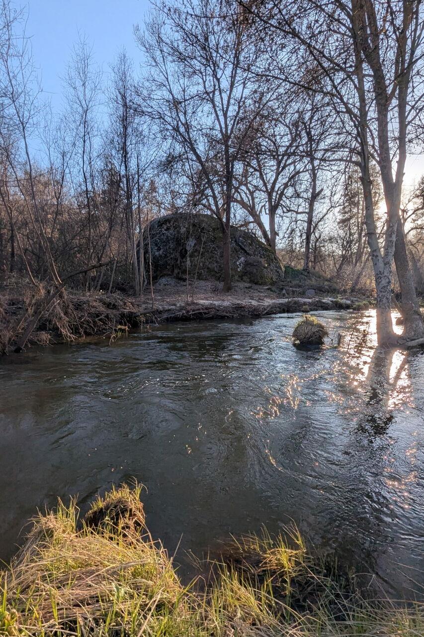 46580 Vista Del Rio Dr, Oakhurst, CA 93644