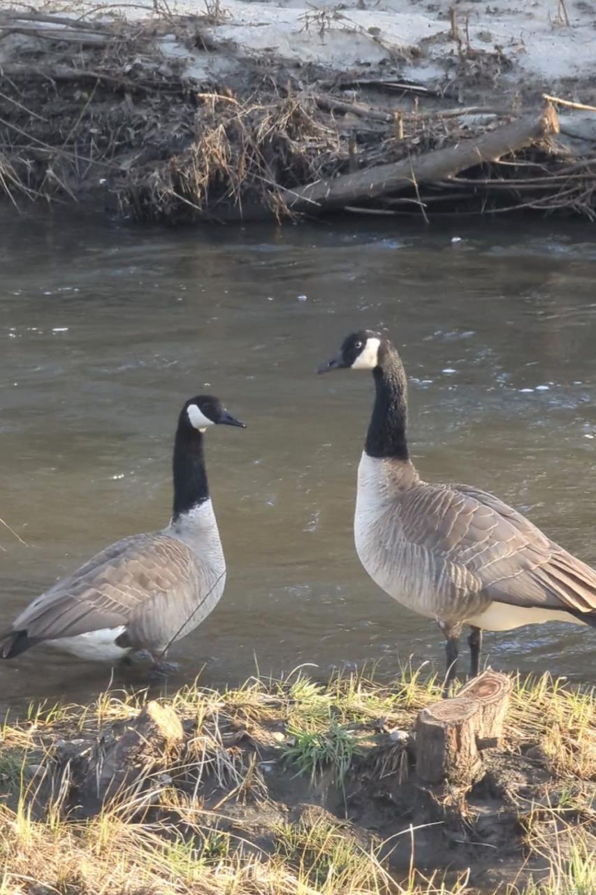 46580 Vista Del Rio Dr, Oakhurst, CA 93644