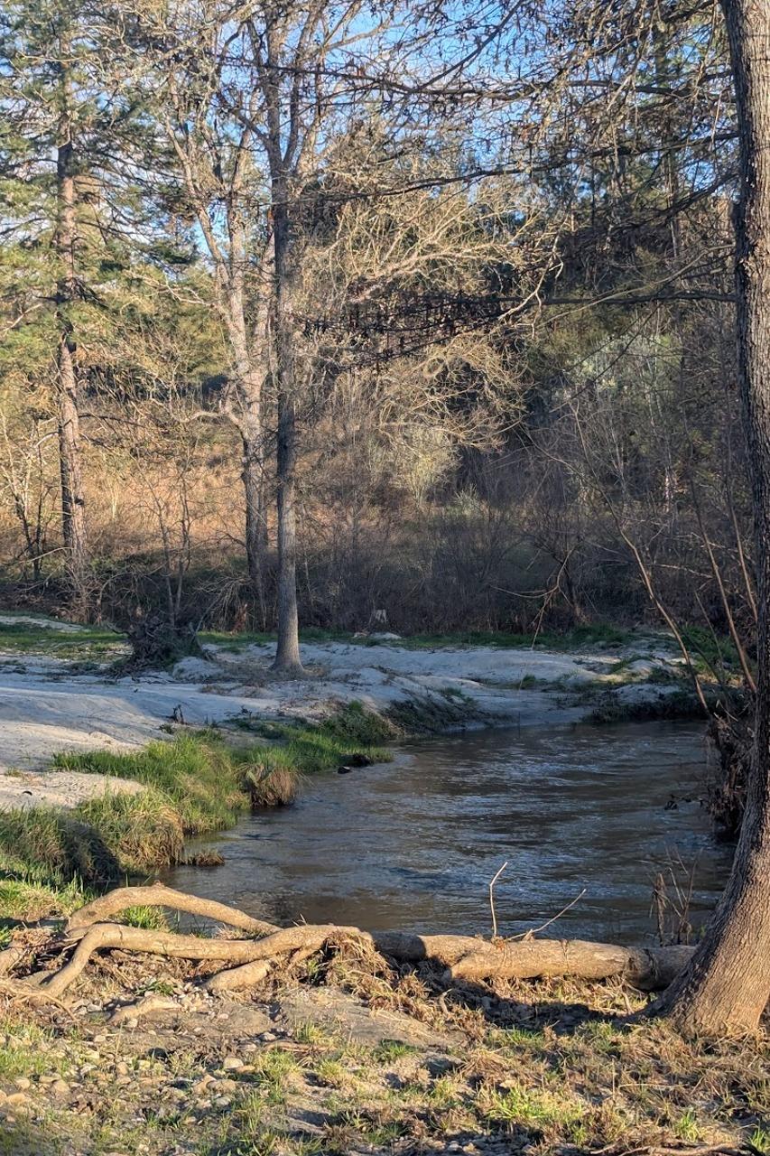 46580 Vista Del Rio Dr, Oakhurst, CA 93644