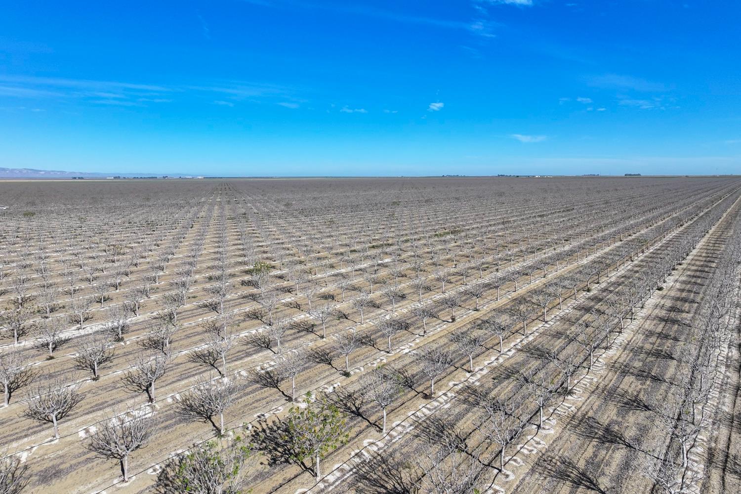 22889 S Colusa Ave, Five Points, CA 93624