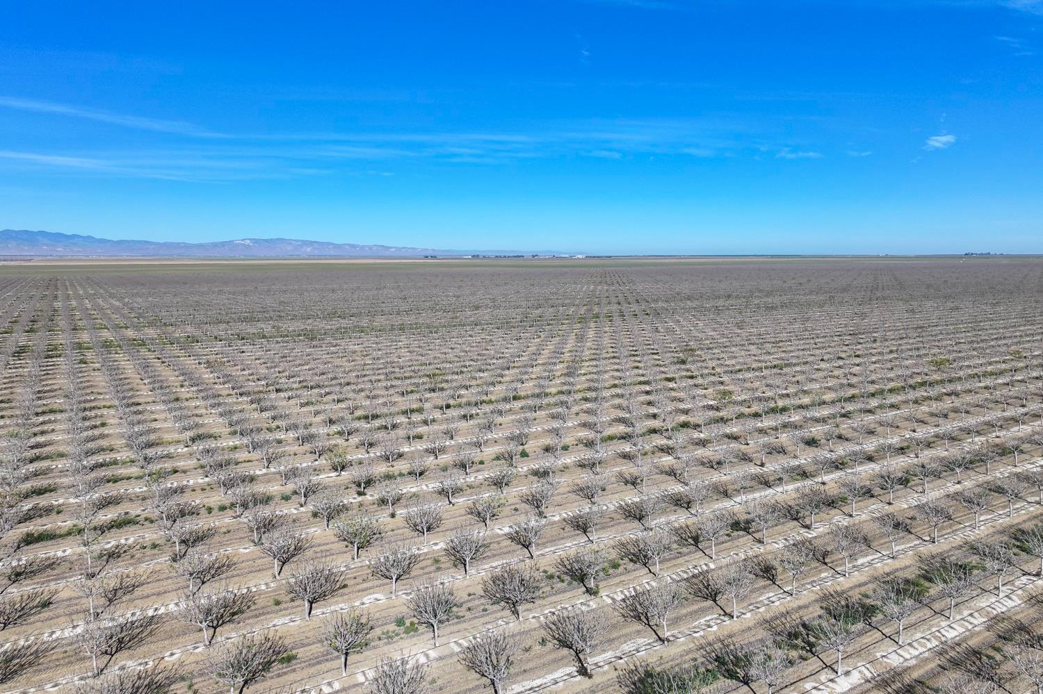 22889 S Colusa Ave, Five Points, CA 93624