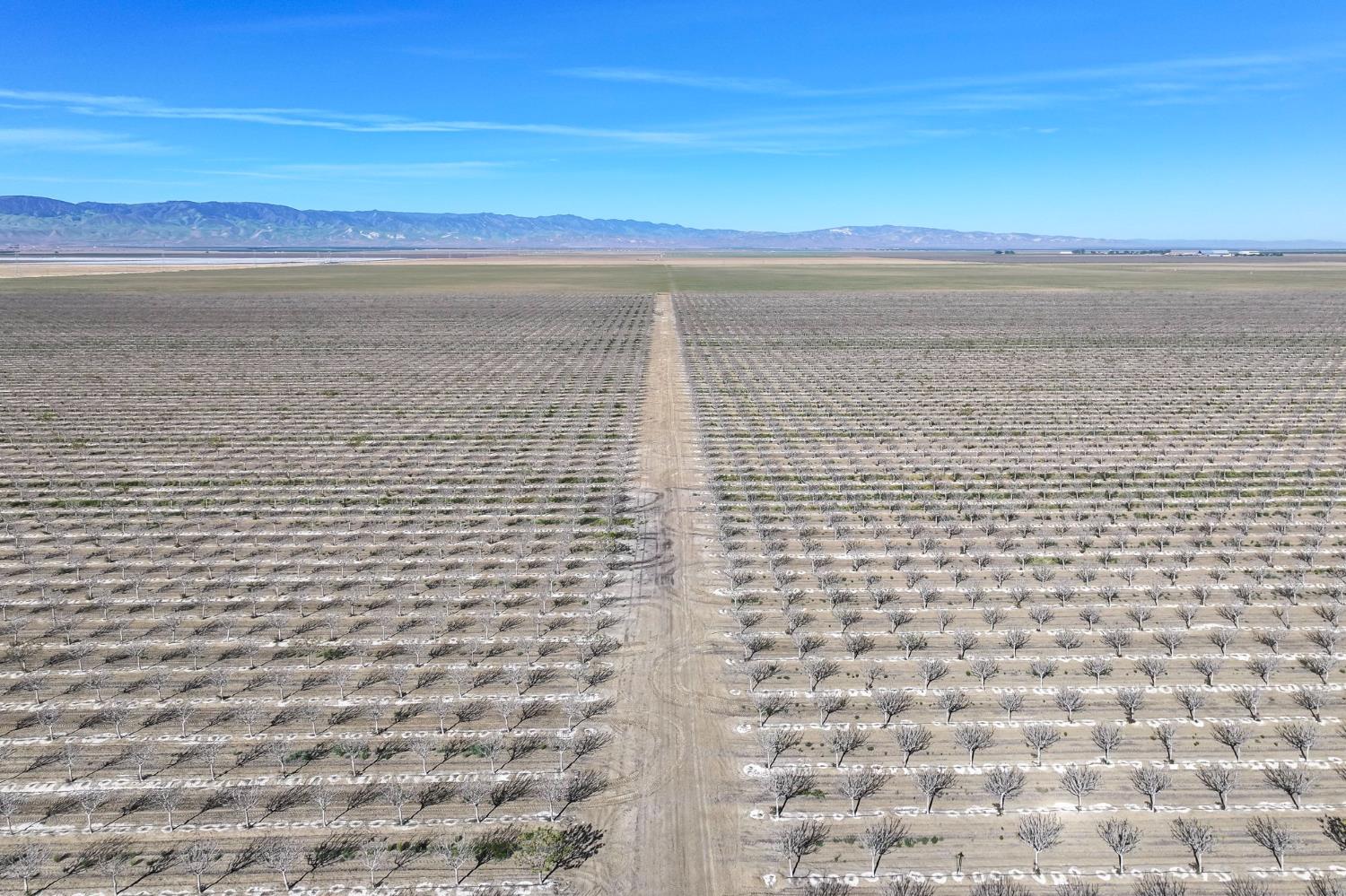 22889 S Colusa Ave, Five Points, CA 93624