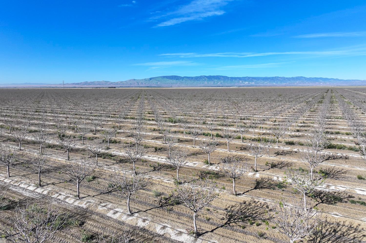 22889 S Colusa Ave, Five Points, CA 93624