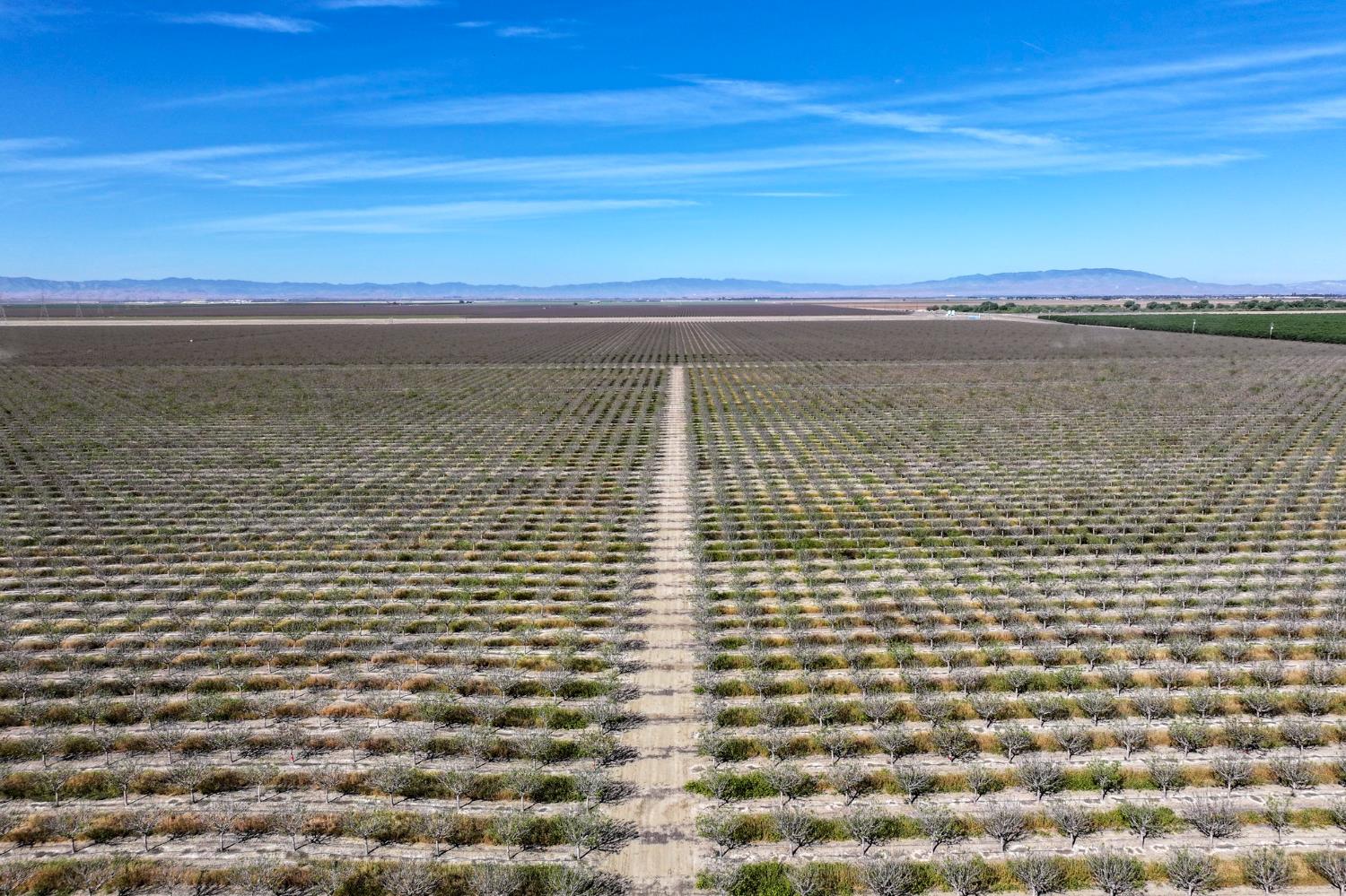 13037 W Gale Ave, Huron, CA 93234