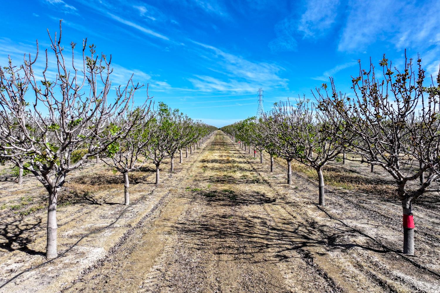 13037 W Gale Ave, Huron, CA 93234