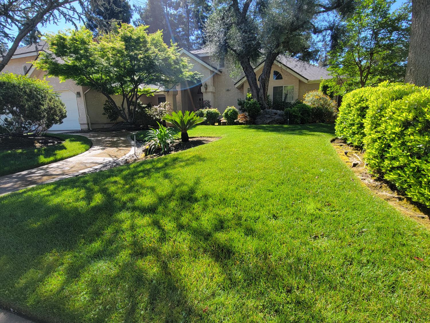 819 E Woodhaven Ln, Fresno, CA 93720