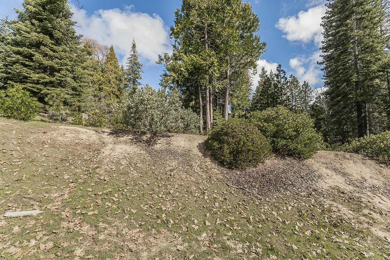 39553 Sunrock, Shaver Lake, CA 93664