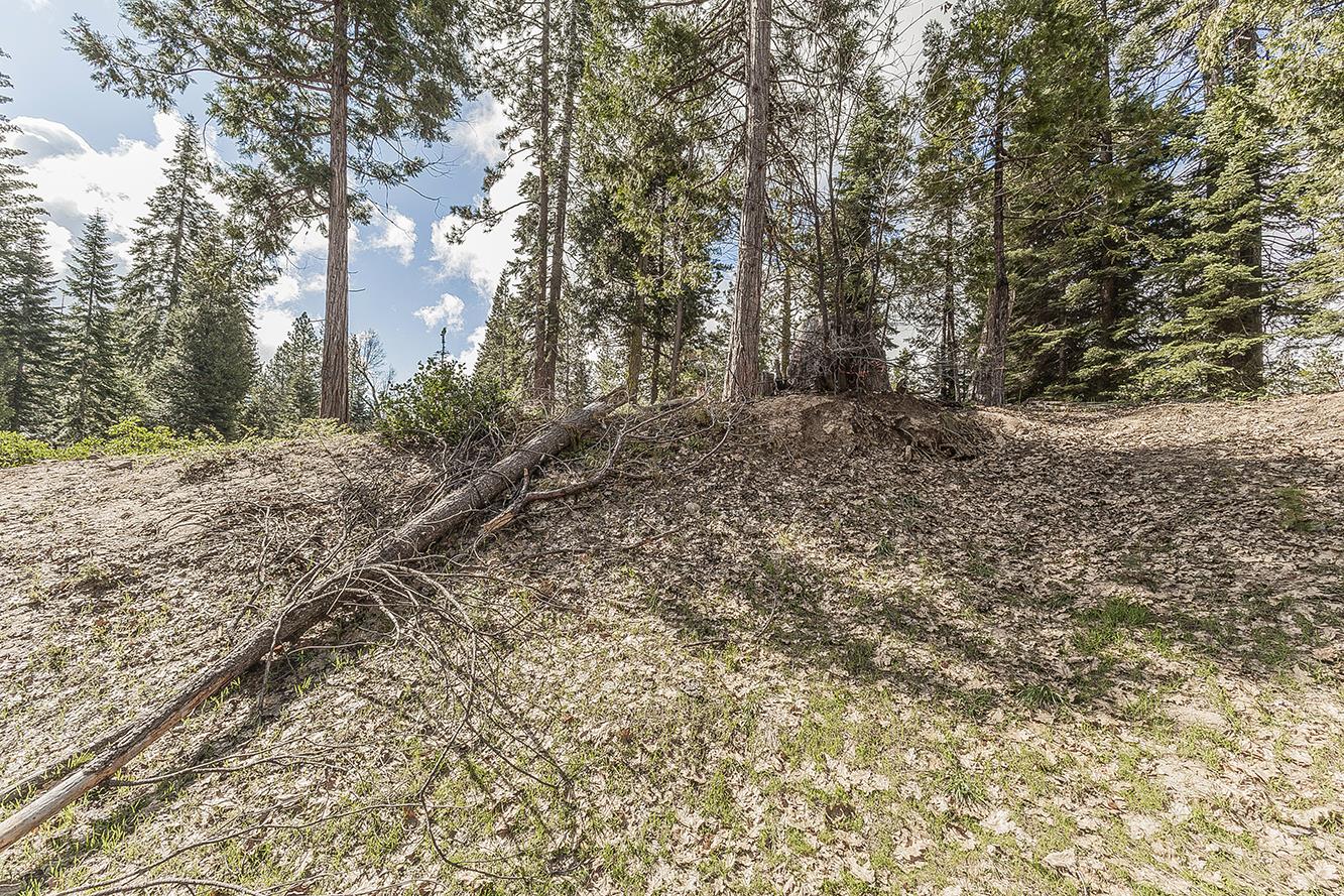 39553 Sunrock, Shaver Lake, CA 93664