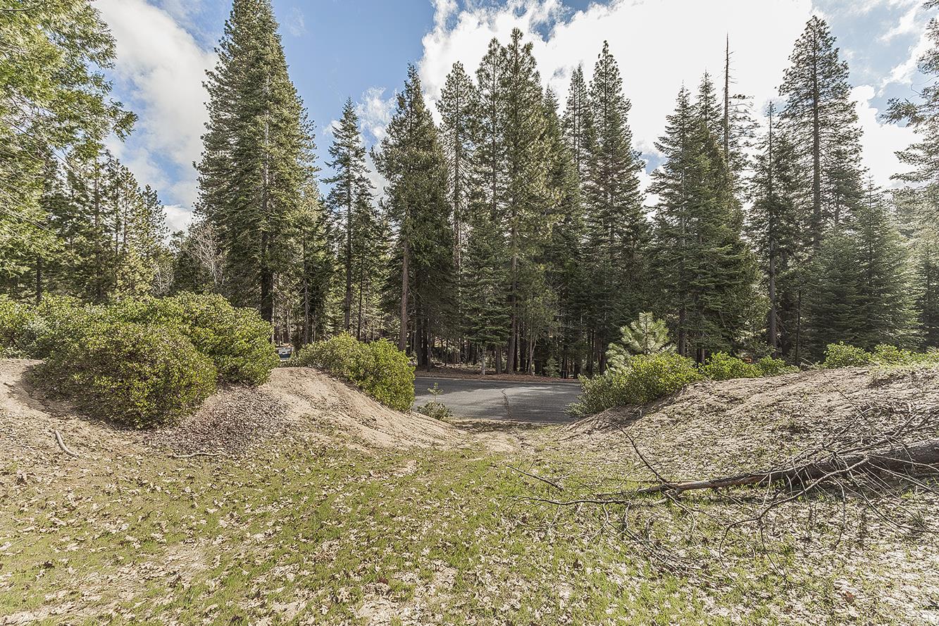 39553 Sunrock, Shaver Lake, CA 93664
