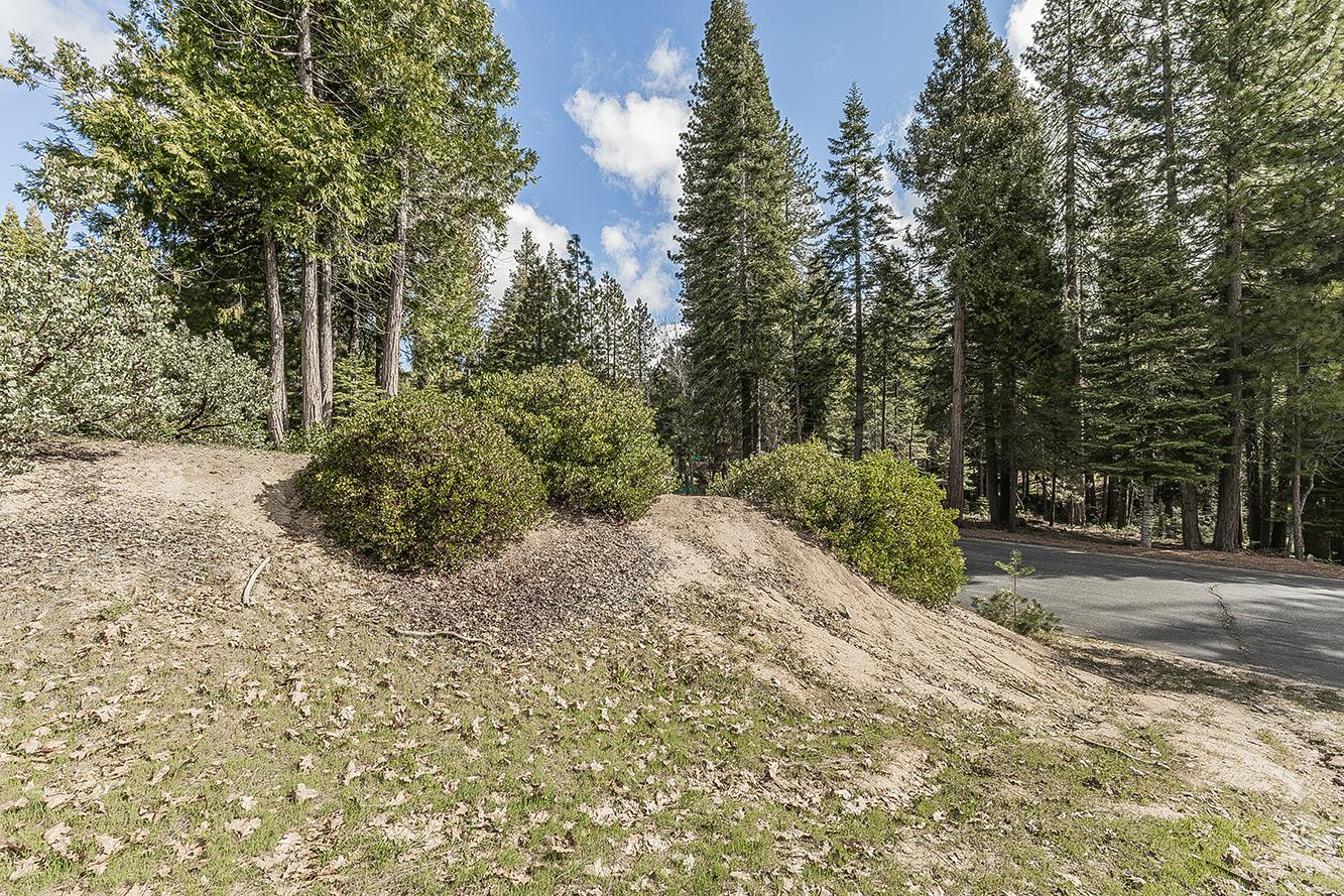 39553 Sunrock, Shaver Lake, CA 93664