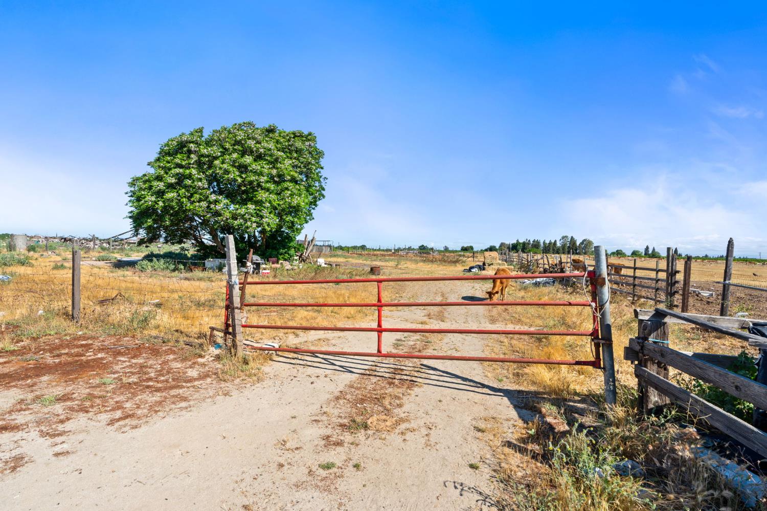 12656 E Nebraska Ave, Selma, CA 93662