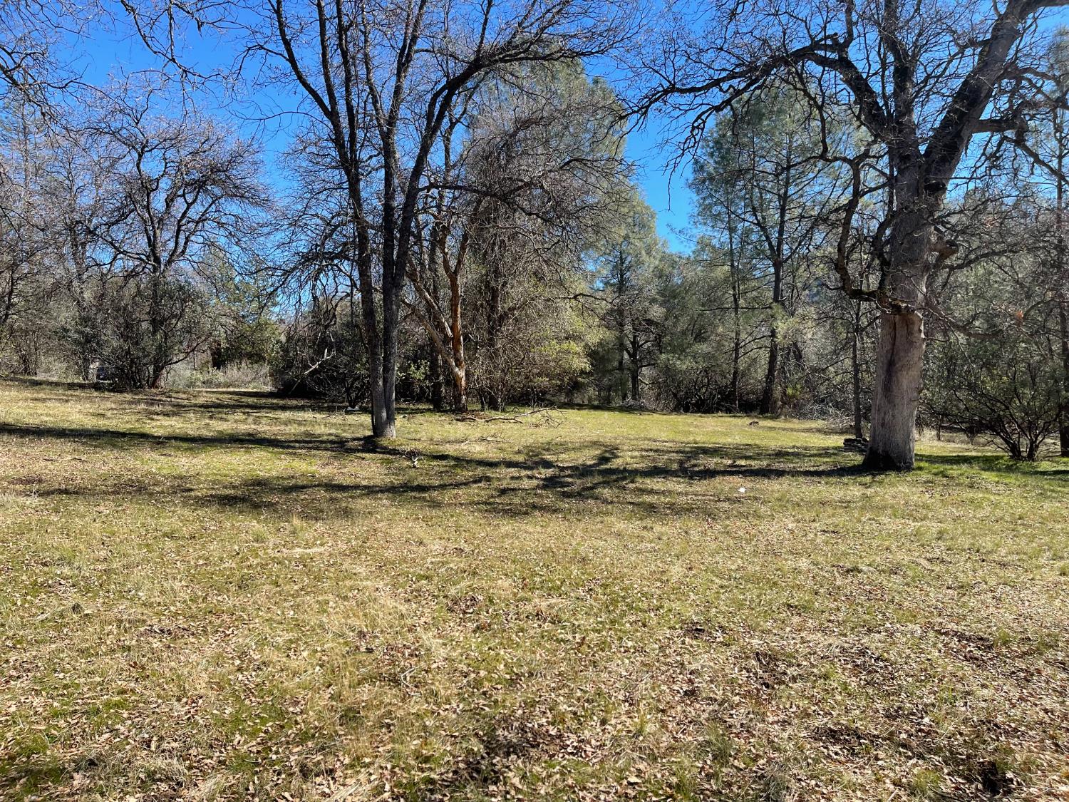 4 Fair Oaks Ct, Oakhurst, CA 93644