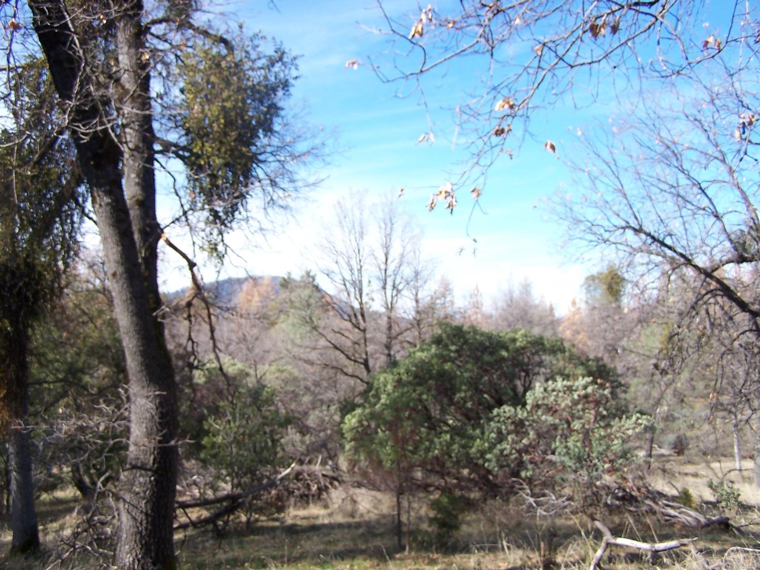 36 Jean Rd West, Oakhurst, CA 93644