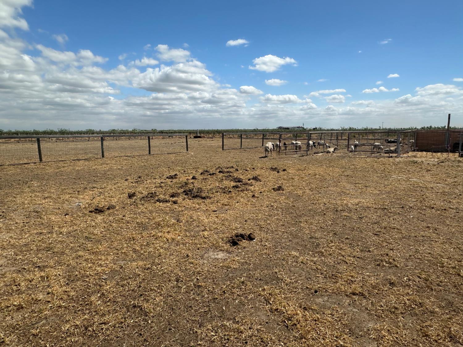 7599 Avenue 152, Tipton, CA 93272