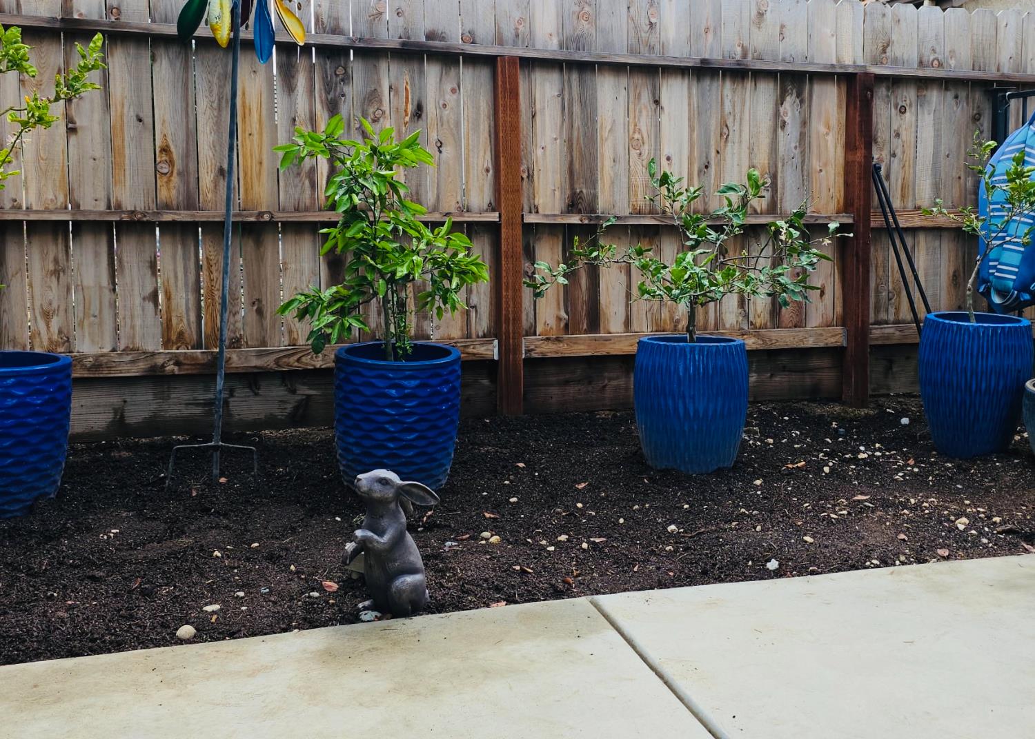 563 W Omaha Ave, Clovis, CA 93619