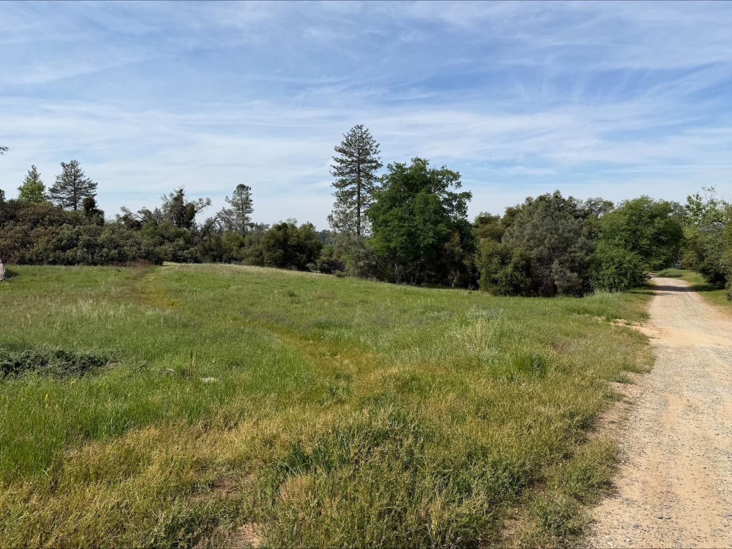 5 Acres Mountain Springs Rd, North Fork, CA 93634