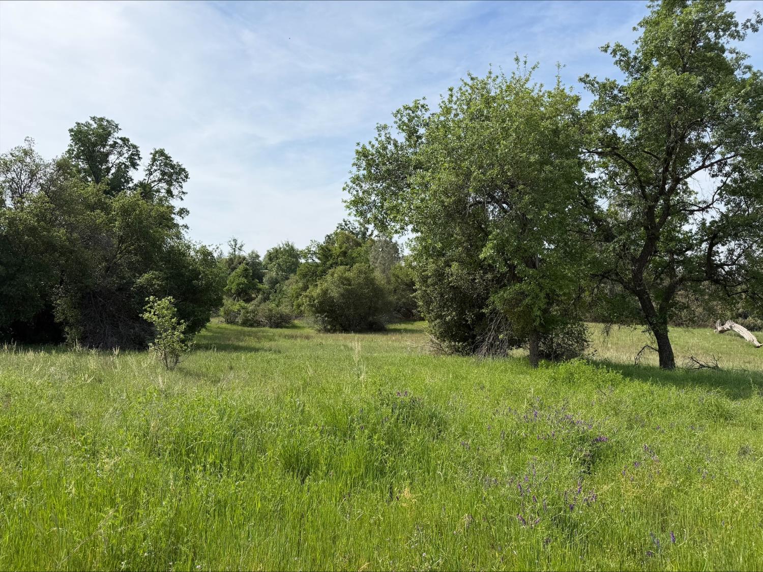 5 Acres Mountain Springs Rd, North Fork, CA 93634