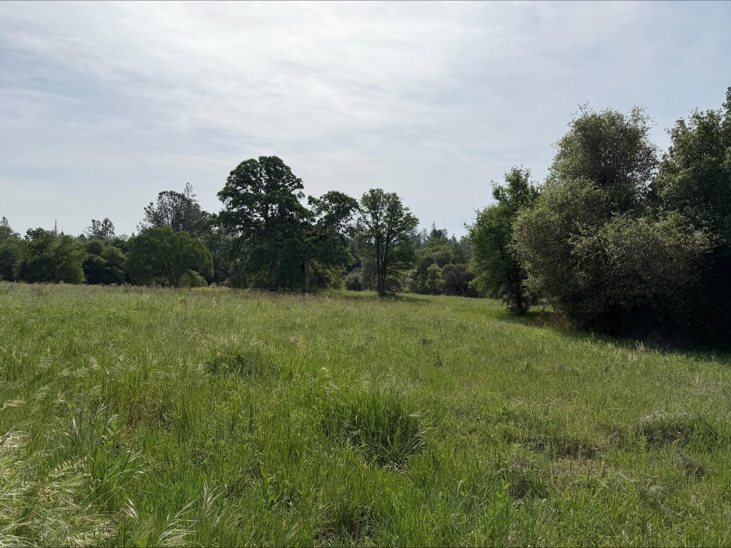 5 Acres Mountain Springs Rd, North Fork, CA 93634