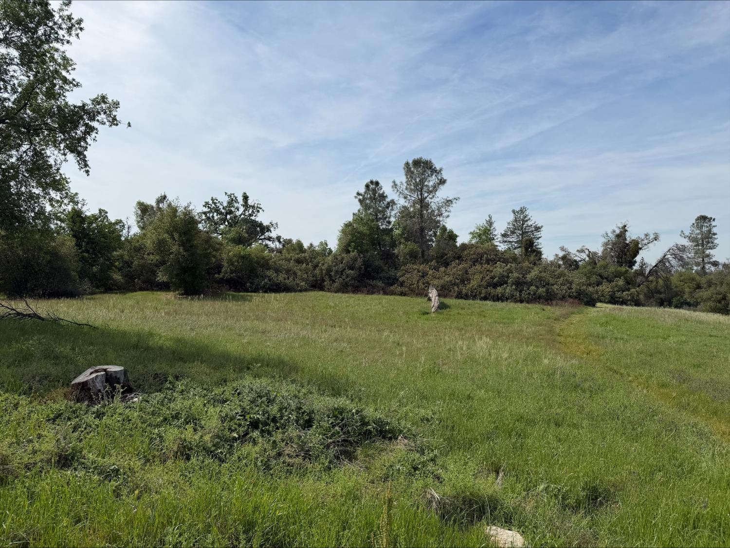 5 Acres Mountain Springs Rd, North Fork, CA 93634