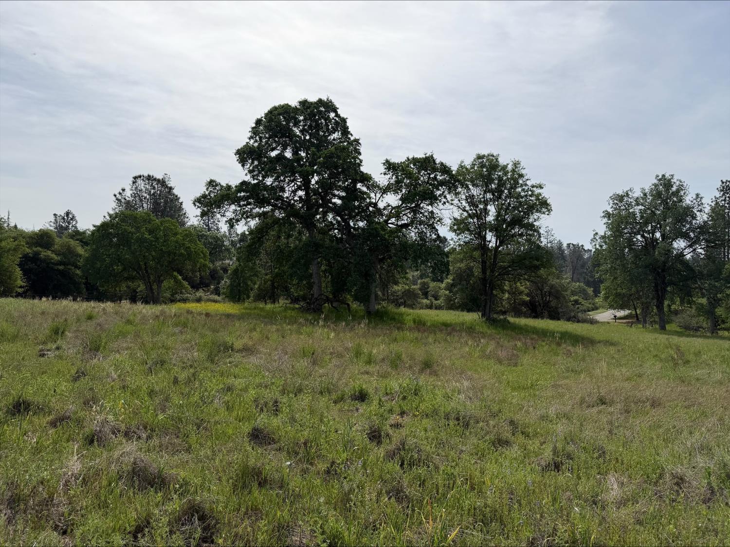 5 Acres Mountain Springs Rd, North Fork, CA 93634