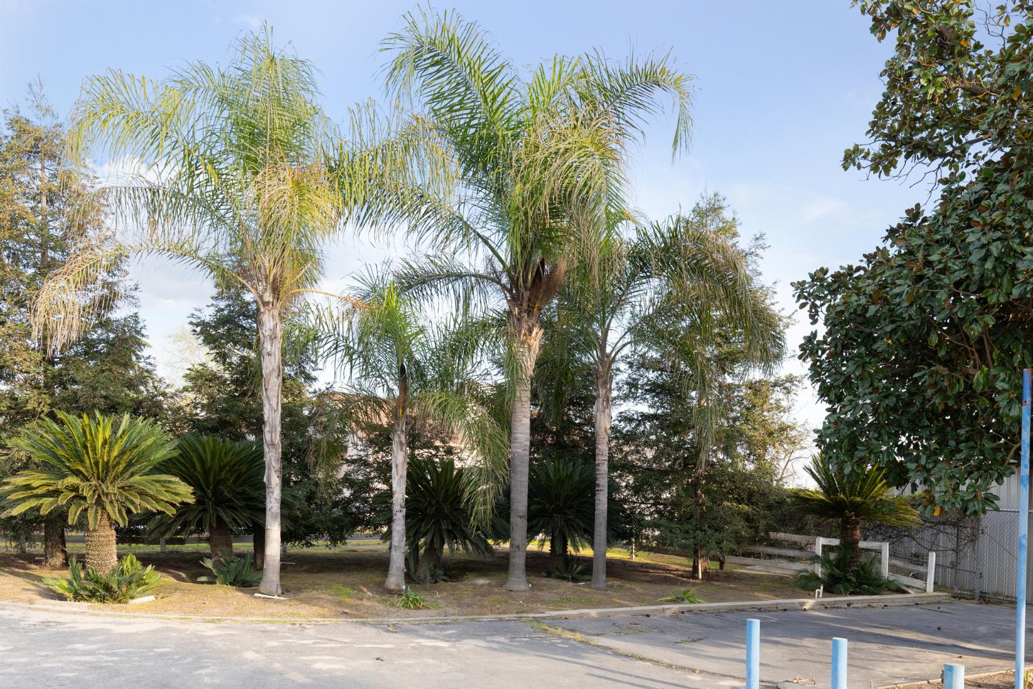 12265 E Dinuba Ave, Selma, CA 93662