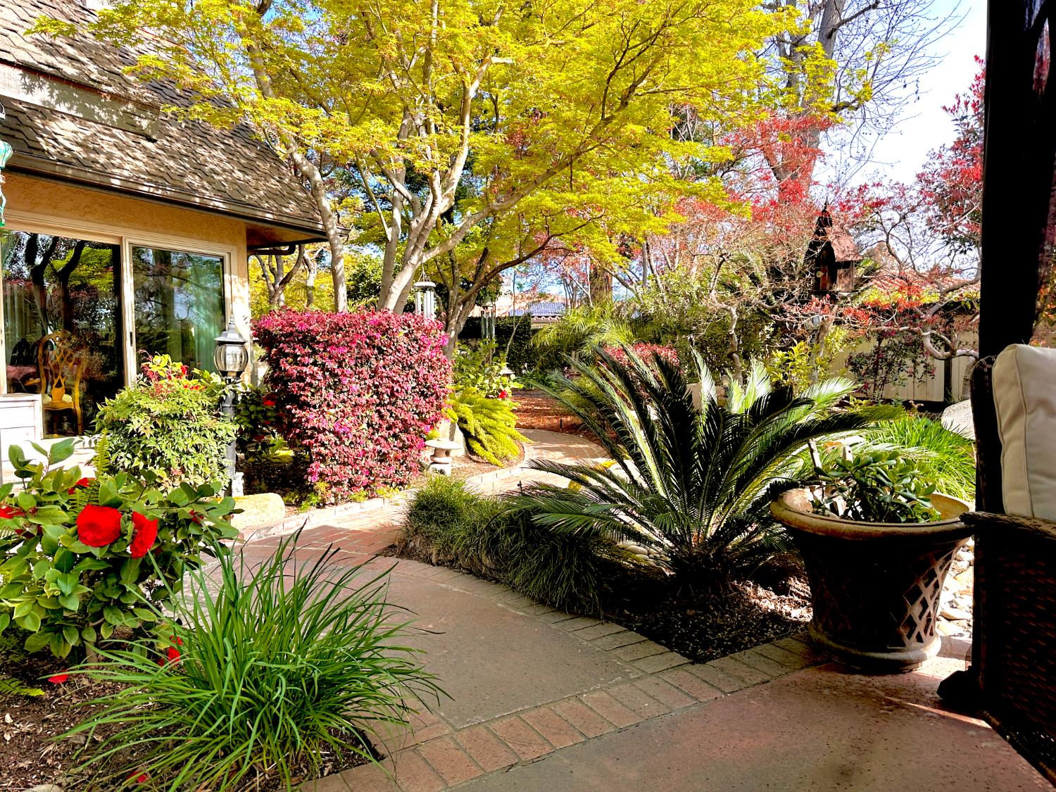 2555 W Bluff, Fresno, CA 93711