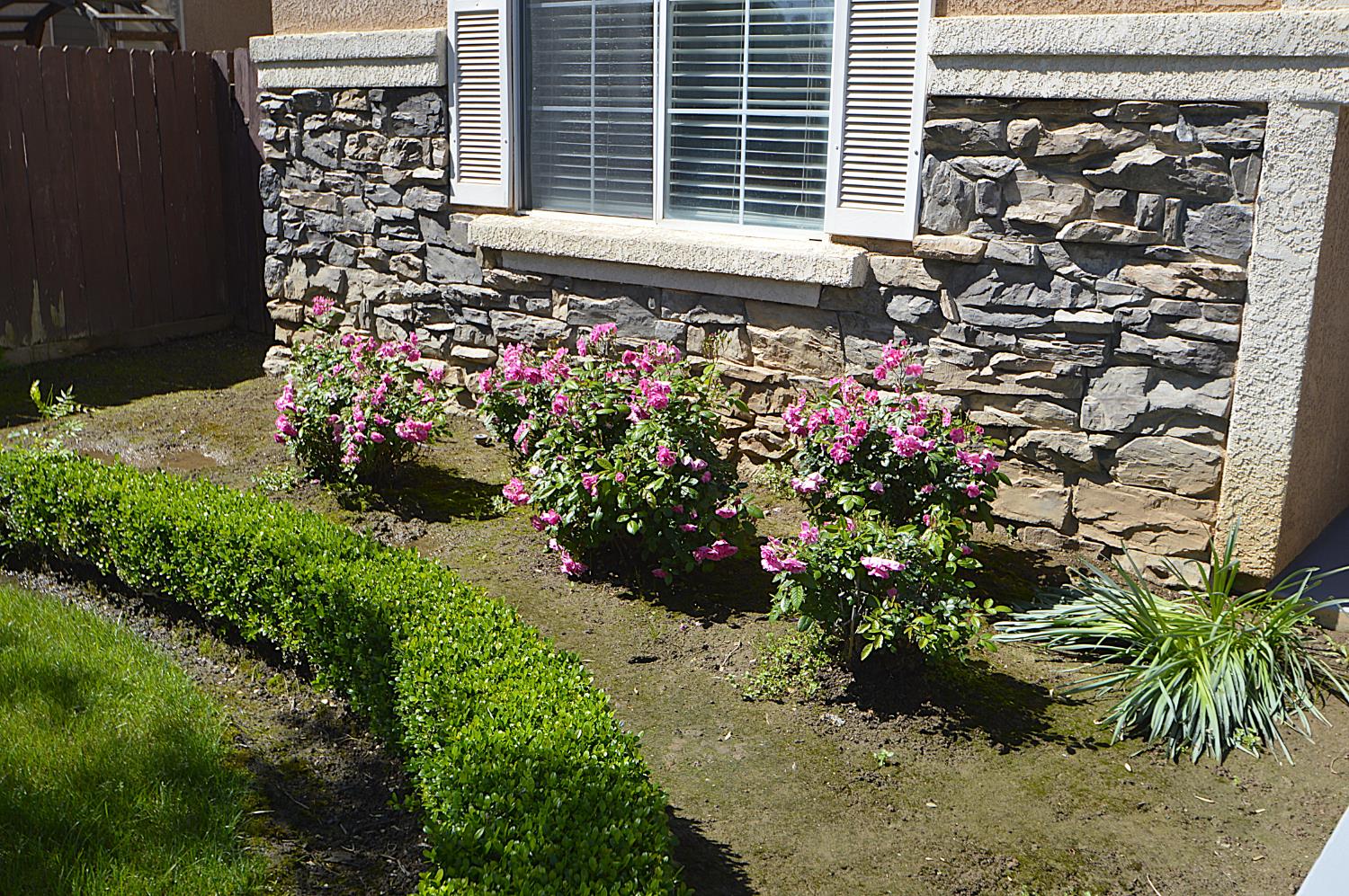 1756 N Holly Ave, Clovis, CA 93619