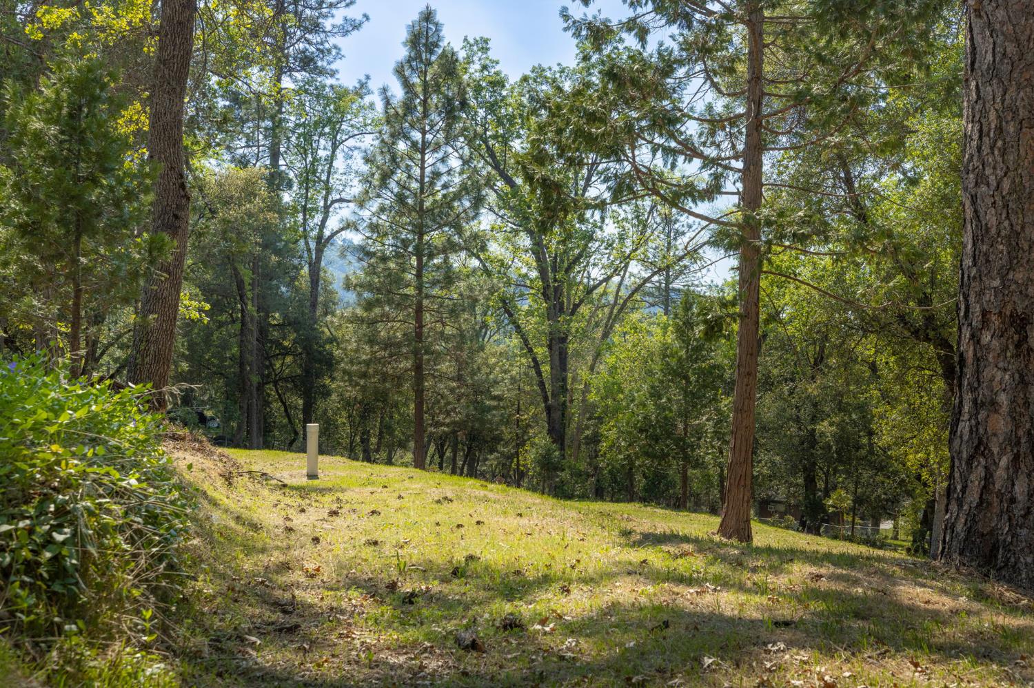 1 Oak Lane-APN 057-310-016 Ln, Oakhurst, CA 93644