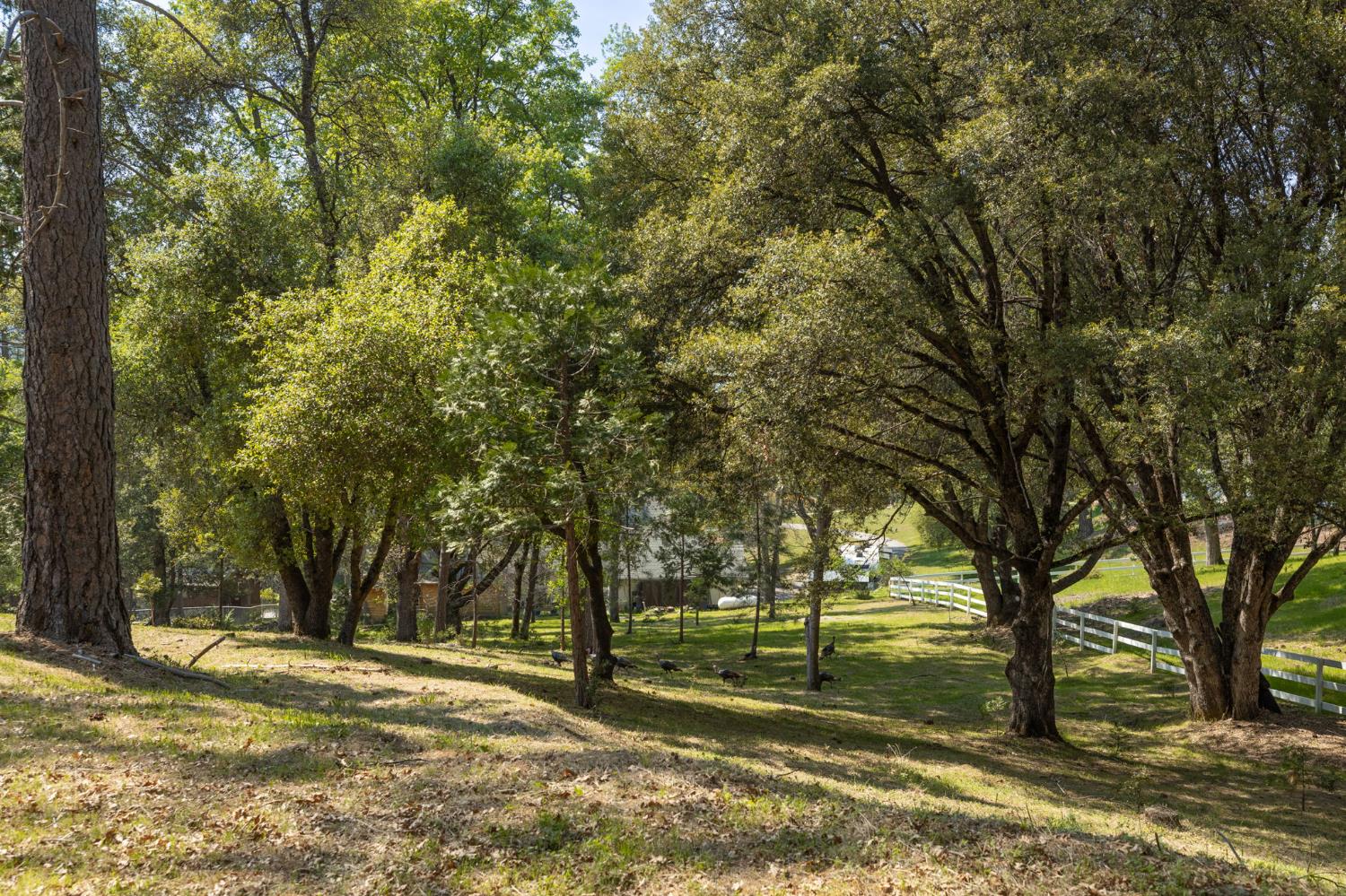 1 Oak Lane-APN 057-310-016 Ln, Oakhurst, CA 93644