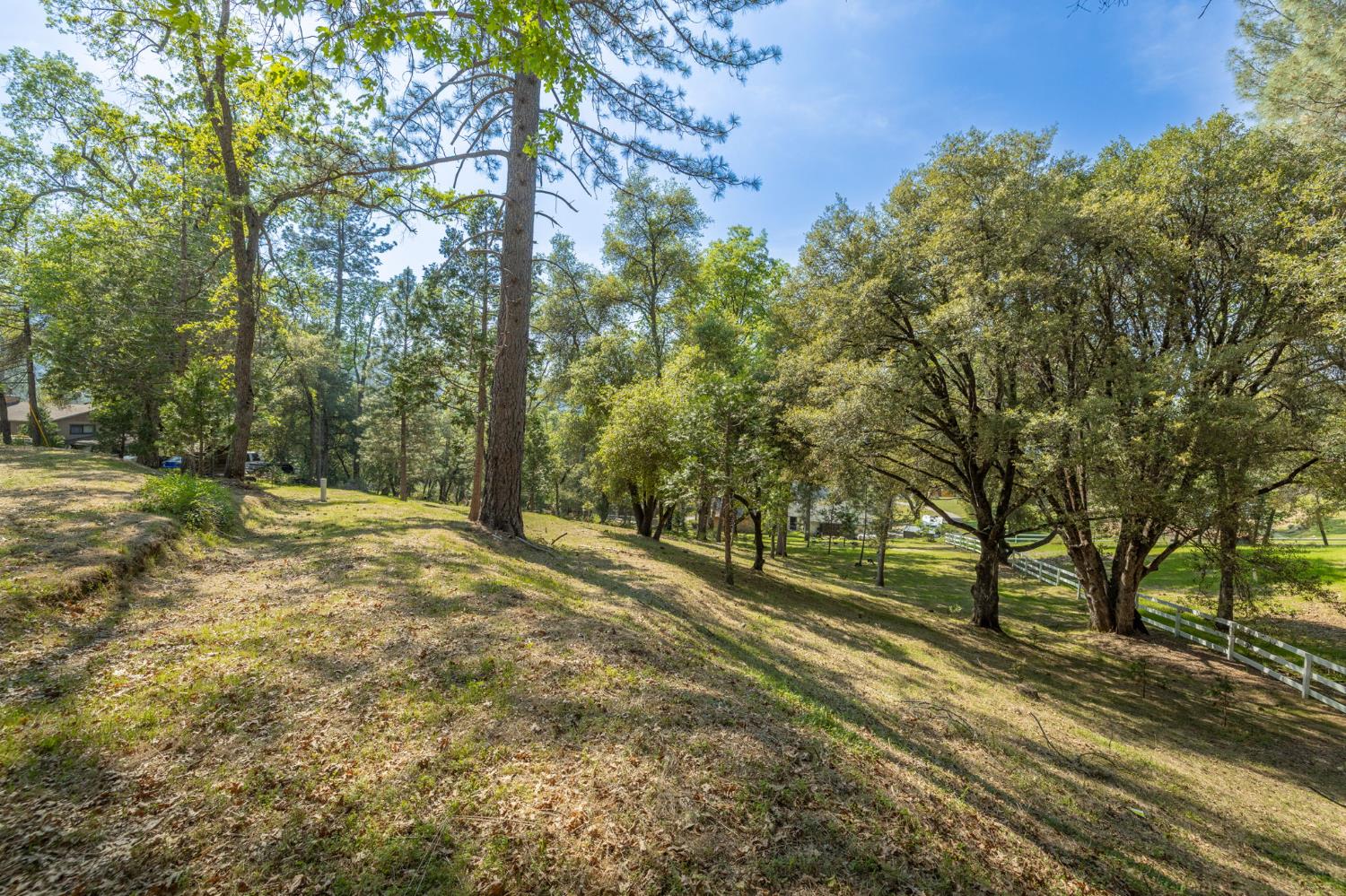 1 Oak Lane-APN 057-310-016 Ln, Oakhurst, CA 93644