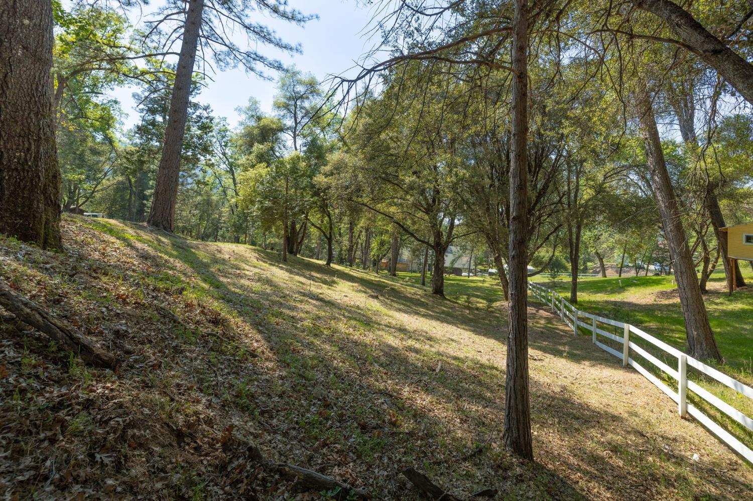 1 Oak Lane-APN 057-310-016 Ln, Oakhurst, CA 93644