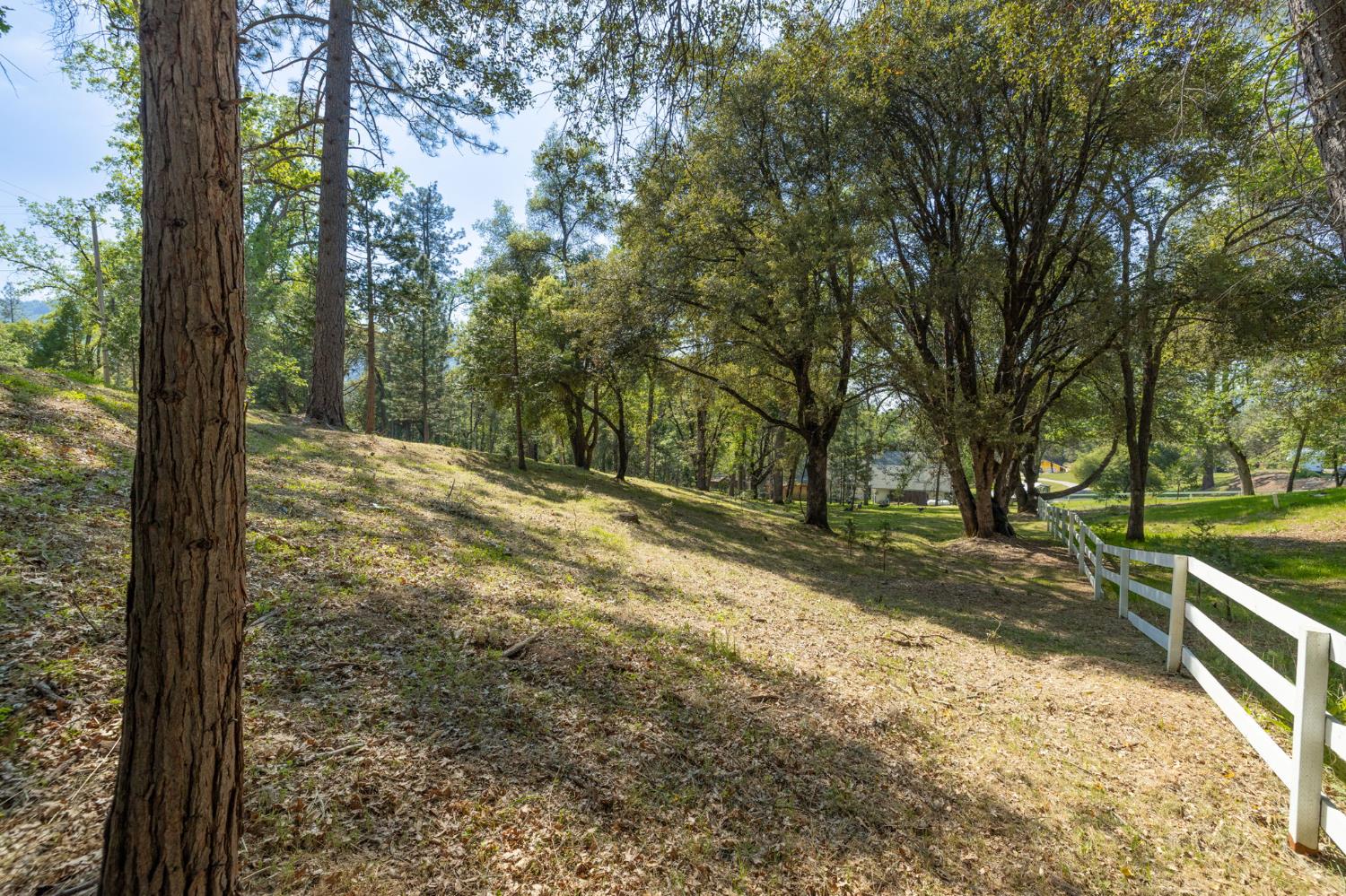 1 Oak Lane-APN 057-310-016 Ln, Oakhurst, CA 93644