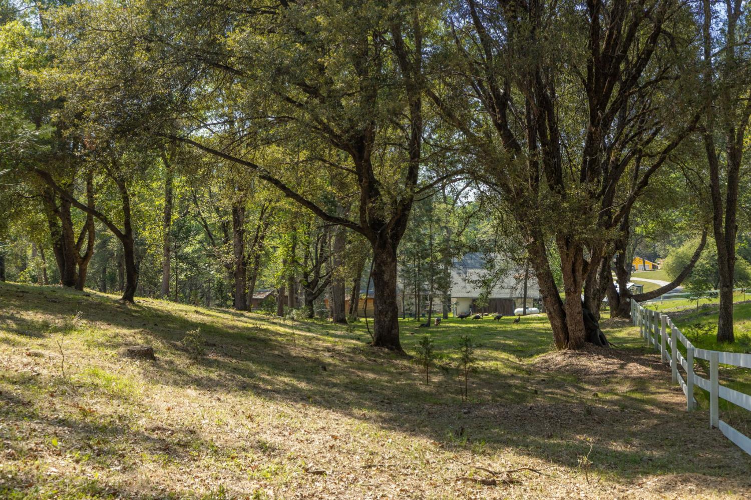 1 Oak Lane-APN 057-310-016 Ln, Oakhurst, CA 93644