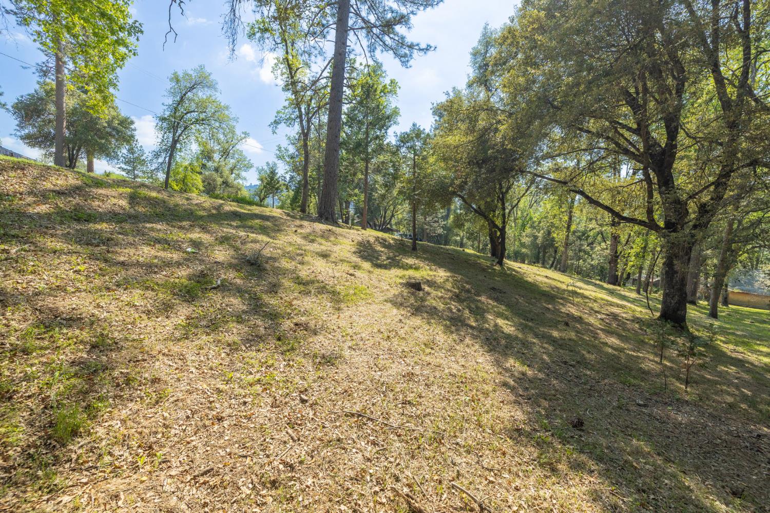 1 Oak Lane-APN 057-310-016 Ln, Oakhurst, CA 93644