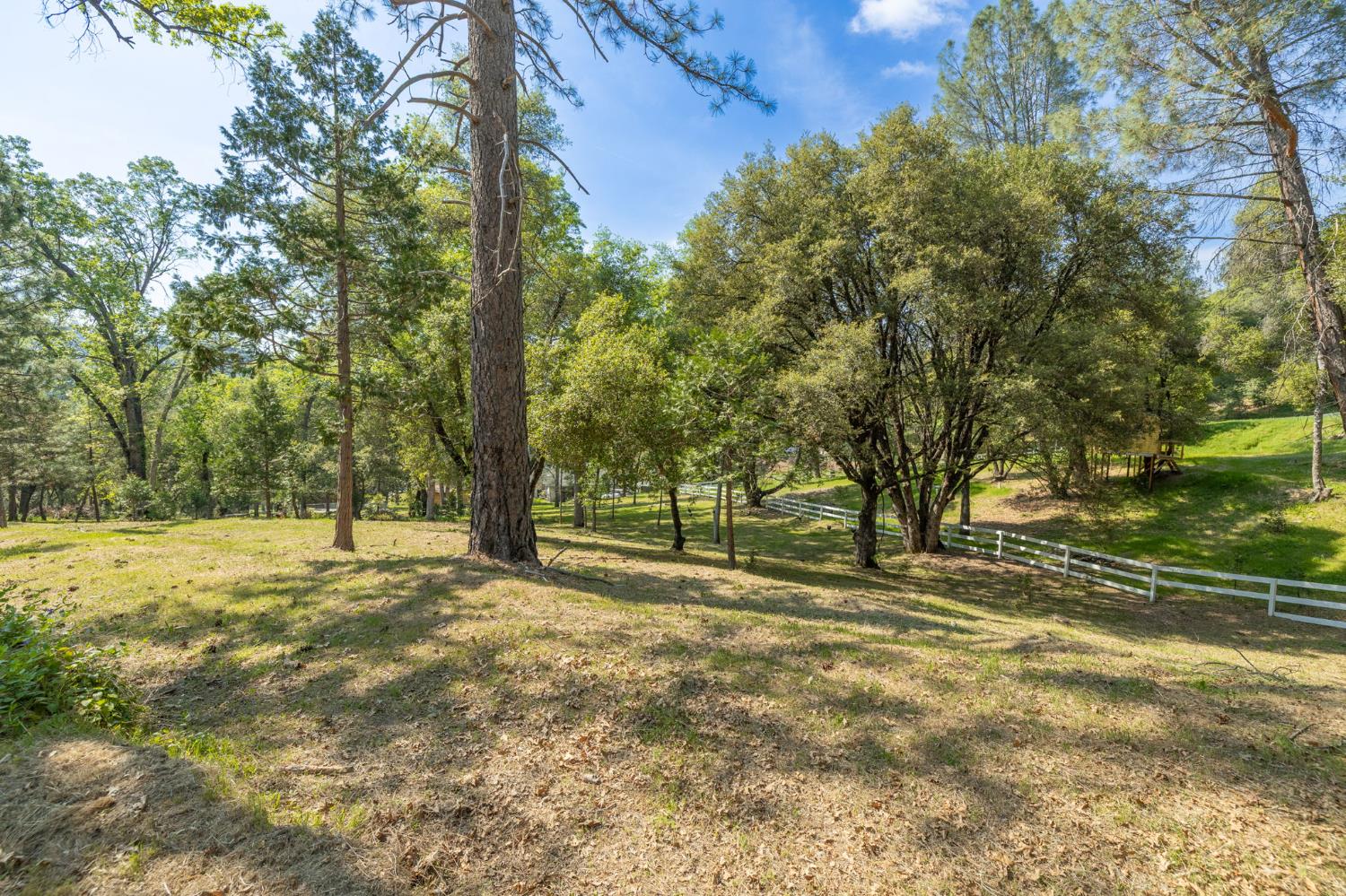 1 Oak Lane-APN 057-310-016 Ln, Oakhurst, CA 93644