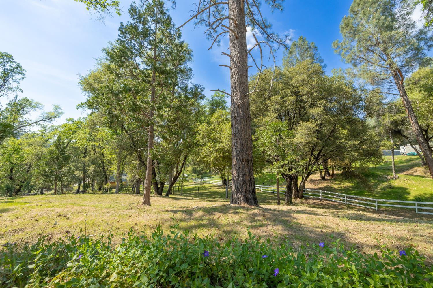 1 Oak Lane-APN 057-310-016 Ln, Oakhurst, CA 93644