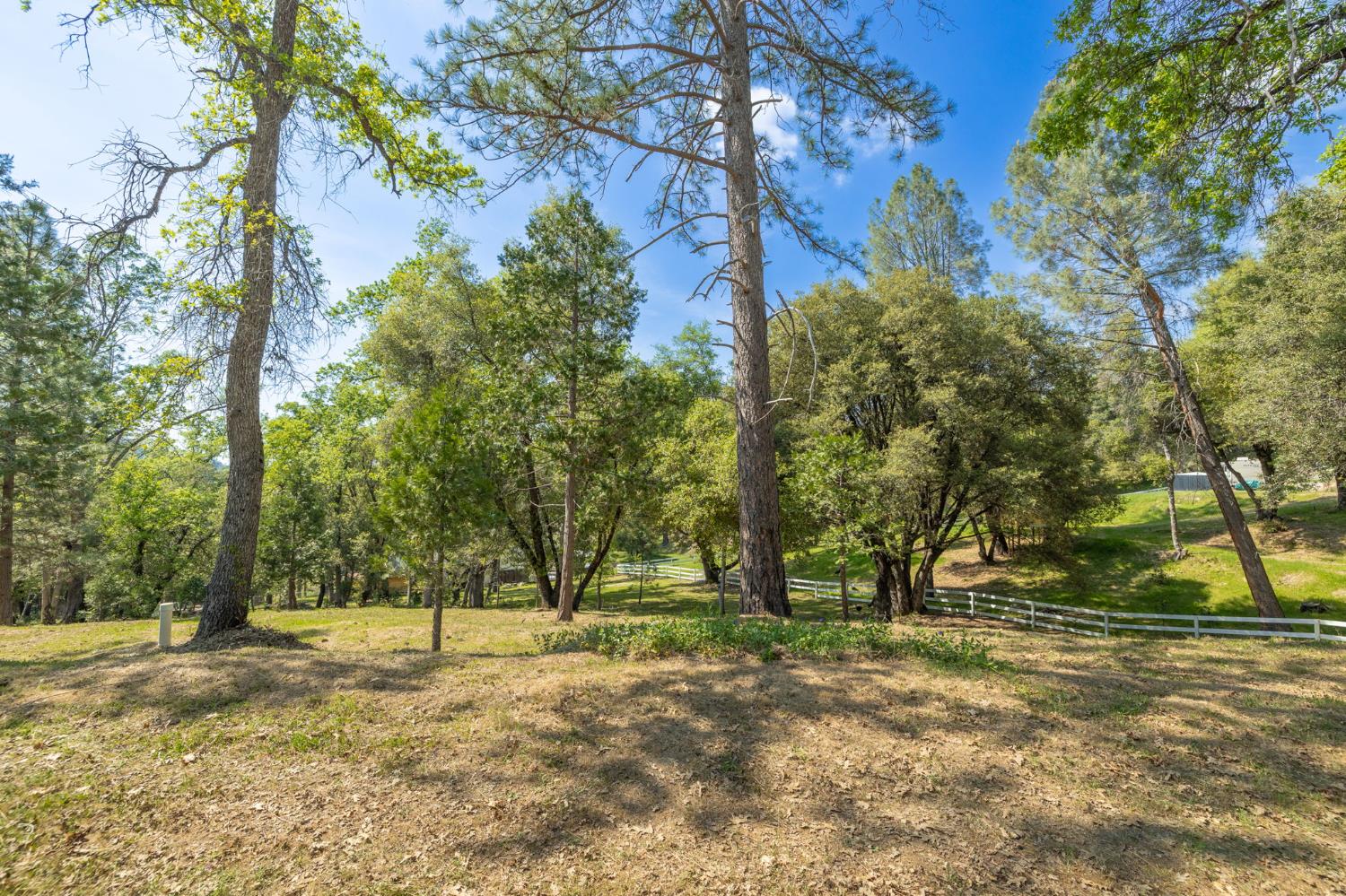 1 Oak Lane-APN 057-310-016 Ln, Oakhurst, CA 93644