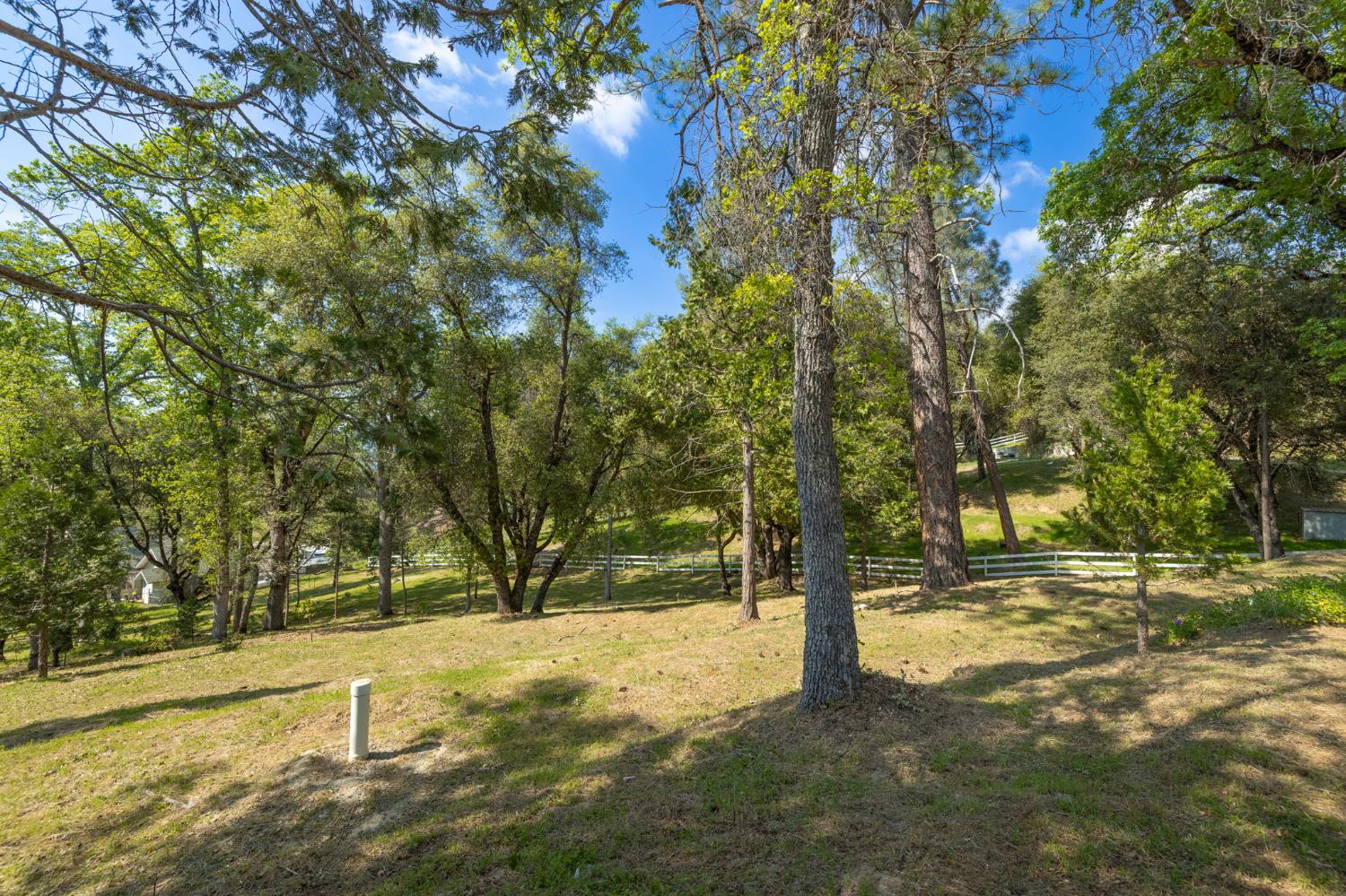 1 Oak Lane-APN 057-310-016 Ln, Oakhurst, CA 93644