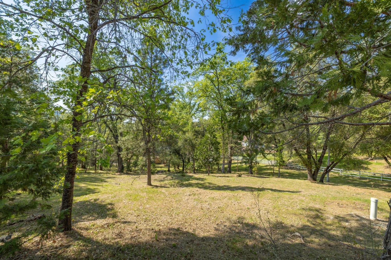 1 Oak Lane-APN 057-310-016 Ln, Oakhurst, CA 93644