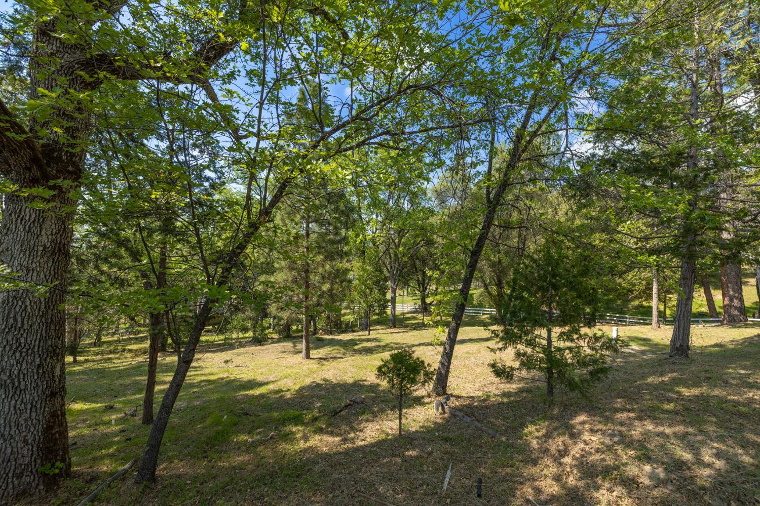 1 Oak Lane-APN 057-310-016 Ln, Oakhurst, CA 93644