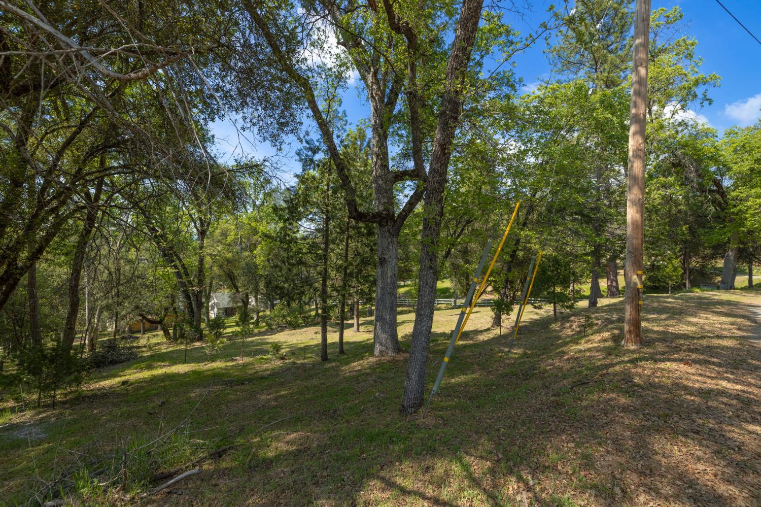 1 Oak Lane-APN 057-310-016 Ln, Oakhurst, CA 93644