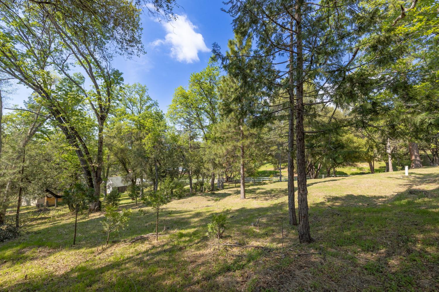 1 Oak Lane-APN 057-310-016 Ln, Oakhurst, CA 93644