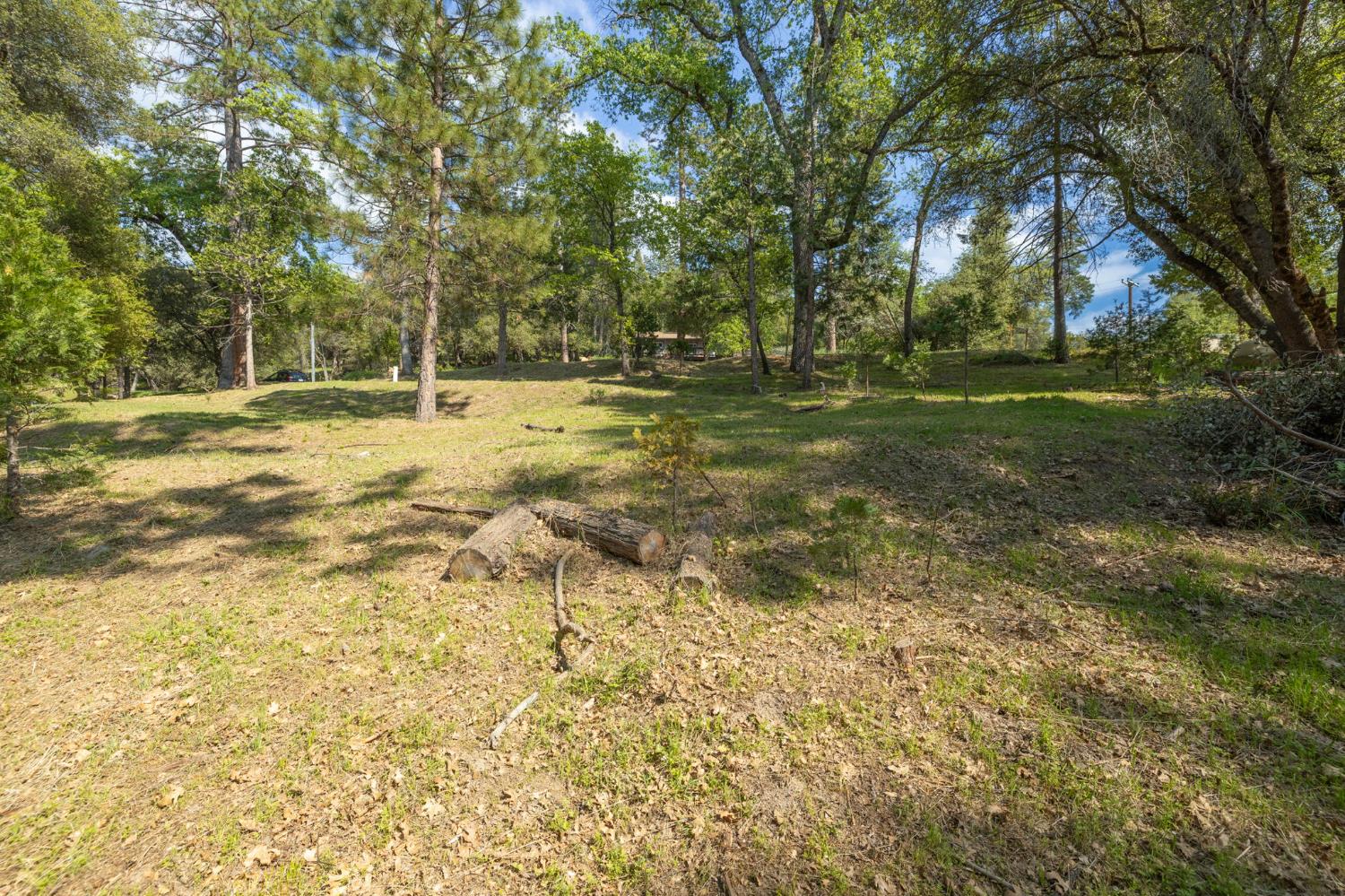 1 Oak Lane-APN 057-310-016 Ln, Oakhurst, CA 93644