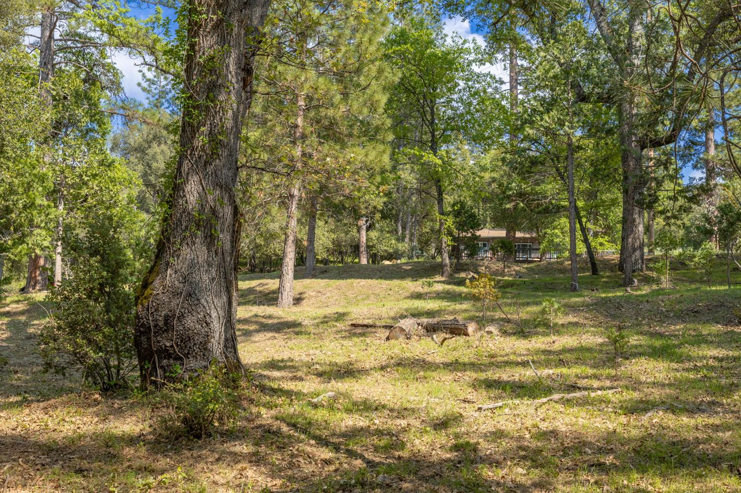 1 Oak Lane-APN 057-310-016 Ln, Oakhurst, CA 93644