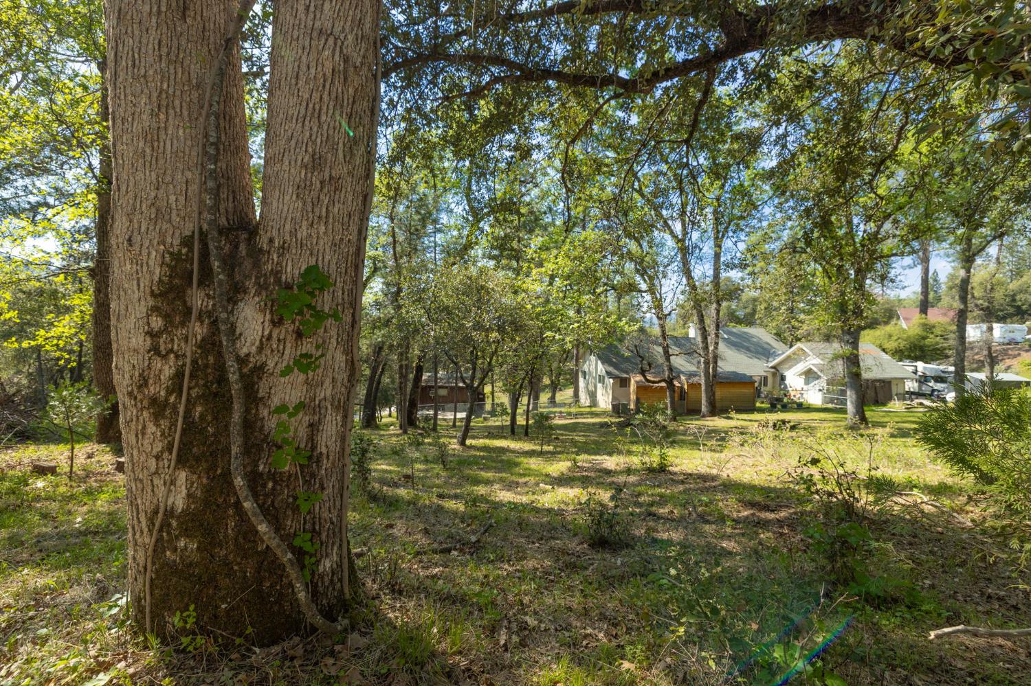 1 Oak Lane-APN 057-310-016 Ln, Oakhurst, CA 93644